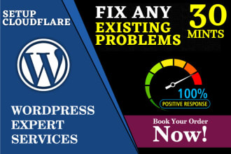 setup cloudflare CDN install SSL fix any existing problems