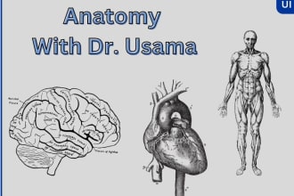 teach anatomy, manual therapy, biomechanics subjects