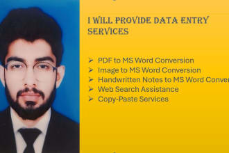 provide professional data entry and retyping services excel word powerpoint