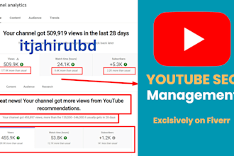 provide monthly youtube video SEO service and management