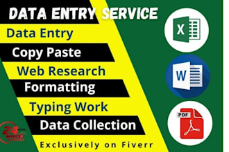 do excel data entry, copy paste, PDF to excel, web research