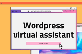 be your wordpress virtual assistant