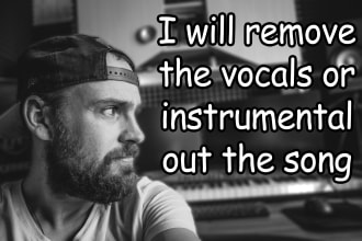 remove the vocals or instrumental out the song