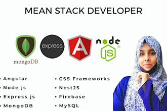 develop a professional mean stack web application