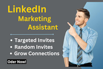 be your linkedin marketing assistant and consultant, grow, promote, enhancement