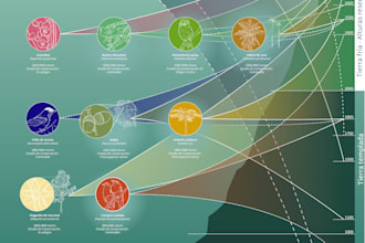 fix or create scientific illustrations and graphics for your article