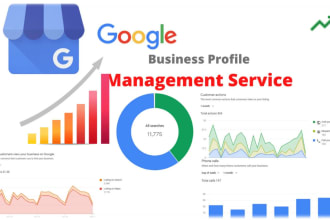 provide monthly google business profile management service