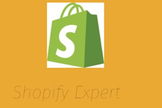 fix your shopify issue