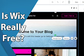 design wix website or design wix build