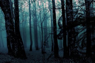 create ai art, characters, concept art, environments for you