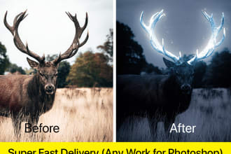 do high quality photoshop editing or photo and manipulation