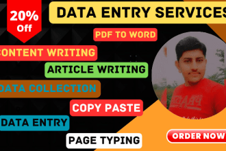 do data entry, seo article writing, website content or blog writing