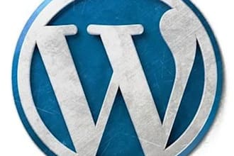develop wordpress website, wp updates, wp theme development