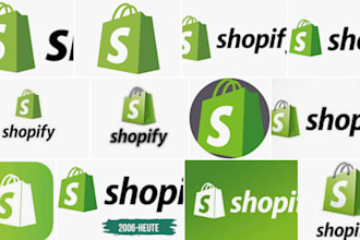 website audit for shopify, design, set up, seo