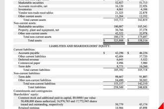 prepare financial statements and present your financial data in graphs