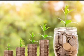 do personal finance coach advisor, budgeting
