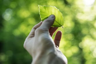 write a blog post on sustainability, climate change and eco friendly products