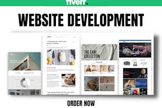 develop any business website