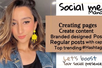 be your social media manager and content creator