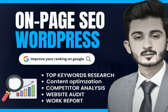 do onpage SEO service and technical optimization of wordpress website