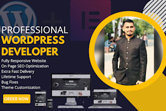 be your professional wordpress developer