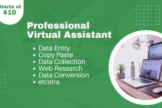 be your effective virtual assistant in lagos nigeria