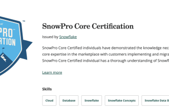 optimize your snowflake cost and performance
