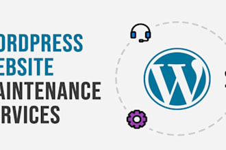 maintain and support your wordpress website