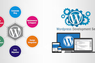 do wordpress migration and customization
