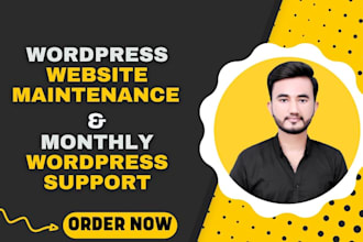 provide wordpress website maintenance and monthly wordpress support