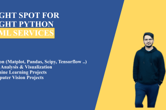 do python data science and machine learning projects for you