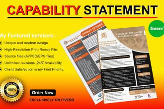 do professional capability statement, government contract, and flyer design