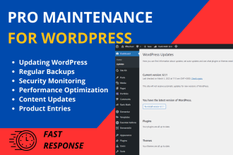 do wordpress website maintenance and wordpress support or help
