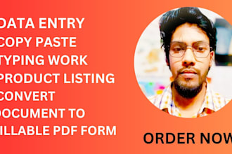 do data entry, copy paste, product listing and convert file