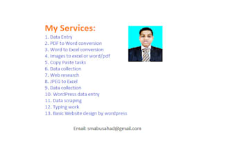 do data entry and web research also basic wordpress web design for your business
