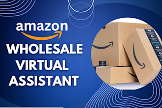 be your professional amazon fba VA