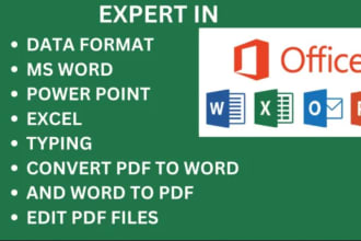 do quick data entry, copy paste, ms office related tasks and convert files