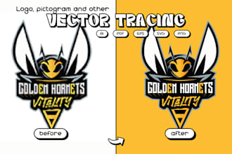 vectorize, correct, edit or redesign your logo
