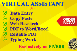 do accurate data entry copy paste convert pdf web research typing in 24 hours