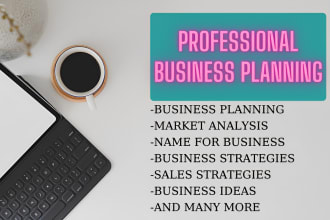 prepare an investor ready business plan and financial plan