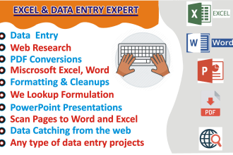 do excel data entry with graph , pdf conversion