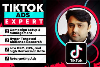 run tik tok ads, tik tok ads campaign, tiktok ads  manager