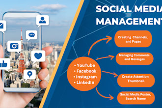 be your professional youtube and facebook virtual assistant