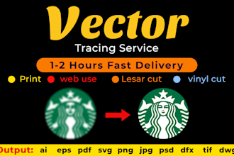 do vector tracing , convert to vector, image to vector fast delivery