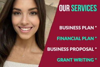 develop a lucid business plan, proposal pitch deck, grant for startups nonprofit