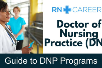 mentor you in your dnp program