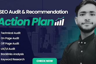 provide you manual website SEO audit with recommendations