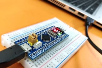 do stm32, esp8266, esp32, raspberry pi