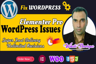 fix wordpress website issues errors bugs,HTML CSS,elementor pro divi expert help