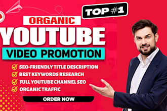 be your youtube SEO expert for organic growth your channel